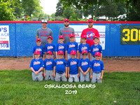 Anderson Baseball Team 2019