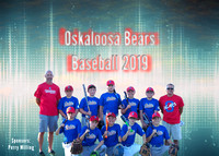 Rockhold Baseball Team 2019